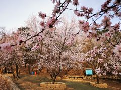 -北京西山国家森林公园