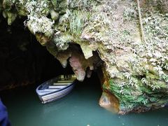 -怀托摩萤火虫洞