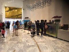 -深圳东部华侨城瀑布酒店