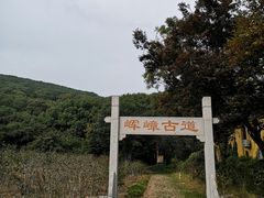 -龙寺生态园