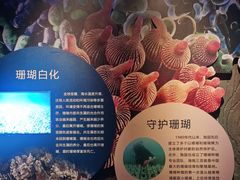 -太平洋海底世界