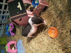 android_upload_pic-万达广场(南京江宁店)