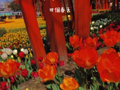 -静安雕塑公园