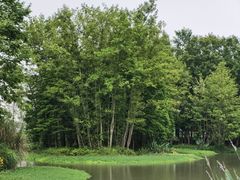 -桤木河湿地公园