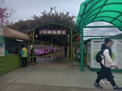-盈香心动乐园