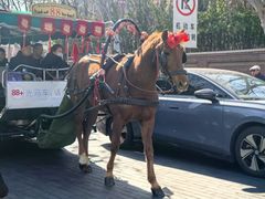 -天津五大道文化旅游区