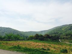 -龙寺生态园