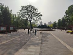 -莲花池公园