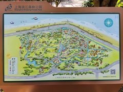 -上海滨江森林公园