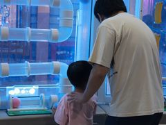 -厦门诚毅自然探索馆