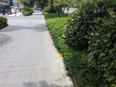 -咸阳湖景区-古渡公园