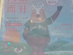 -Deer Park鹿园西餐(仁恒置地广场店)