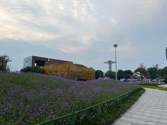 -迪卡侬(西华店)