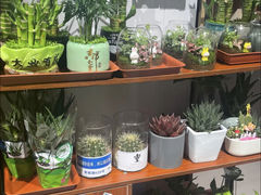 -怡花宜木鲜花店(朝阳路店)