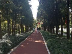 -上海长兴岛郊野公园