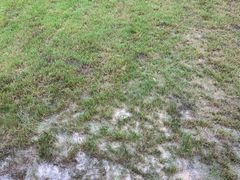 -上海国际音乐村