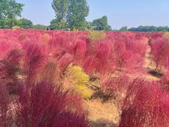 -汉长安城未央宫国家考古遗址公园