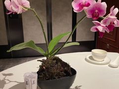 -香港銀行家會所
