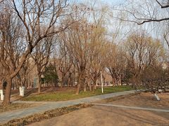 -泰丰公园