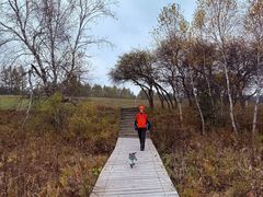 -塞罕坝国家级自然保护区