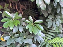 -明谷行馆·温泉