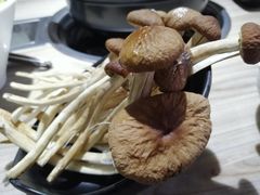 -探窝·竹笙椰子鸡(杨箕店)
