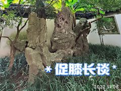 -秋霞圃