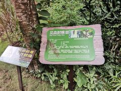 -海南热带野生动植物园