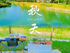 -王借岗森林公园