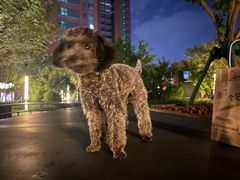 -格兰西点餐厅(文化街店)