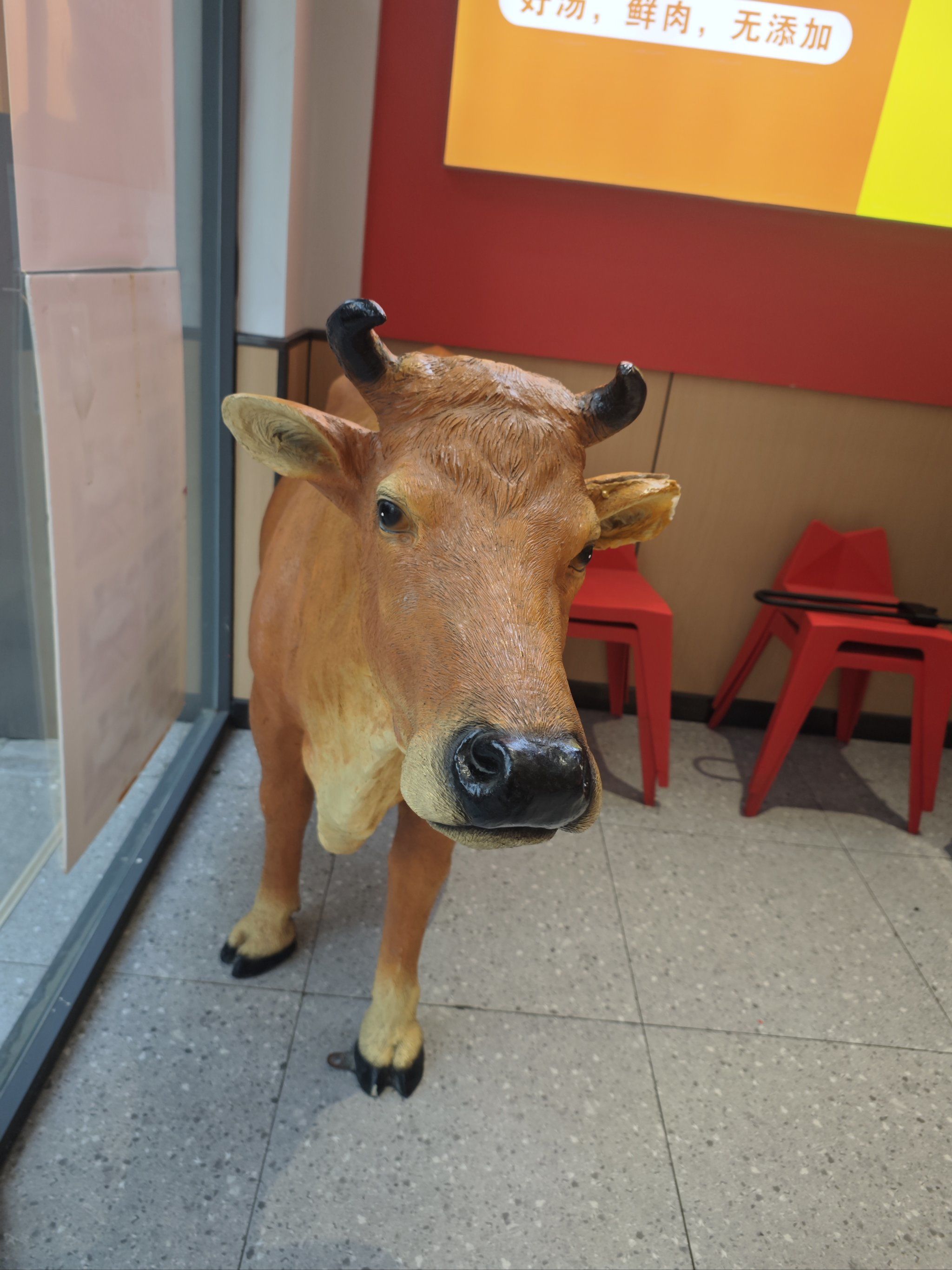 忙里偷闲的快餐时光