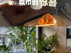 -长洲岛