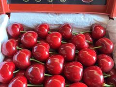 -喜湘宴·精致湖南菜(和平西桥店)