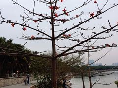 -深圳湾公园(南山区)