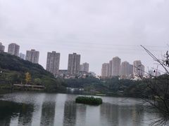 -重庆彩云湖湿地公园