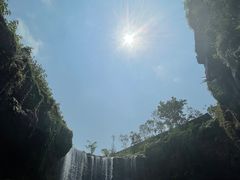 -新加坡飞禽公园