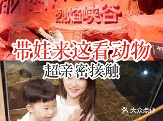 带娃来这看动物 超亲密接触