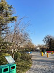 -酷酷兔少儿拓展天地