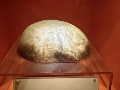 -迪庆藏族自治州博物馆