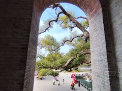 -江心屿景区