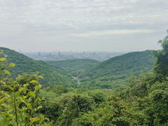-南京老山国家森林公园
