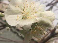 -护国寺小吃店(阜成门桥店)