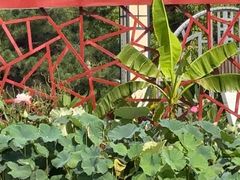 -洛阳市隋唐城遗址植物园