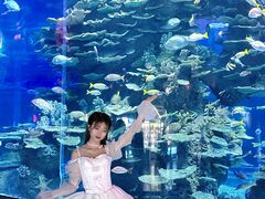 -泉城欧乐堡海洋极地世界