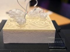 -BLACKSWAN黑天鹅(环球店)