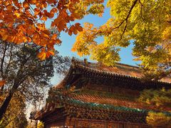 -潭柘寺景区