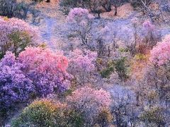 -罗红摄影艺术馆