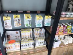 -伟伟宠物医院·瑞派猫友好医院·猫科(光谷店)