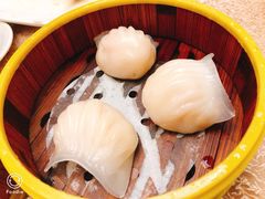 -广州酒家(文昌总店)