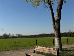 -汉长安城未央宫国家考古遗址公园